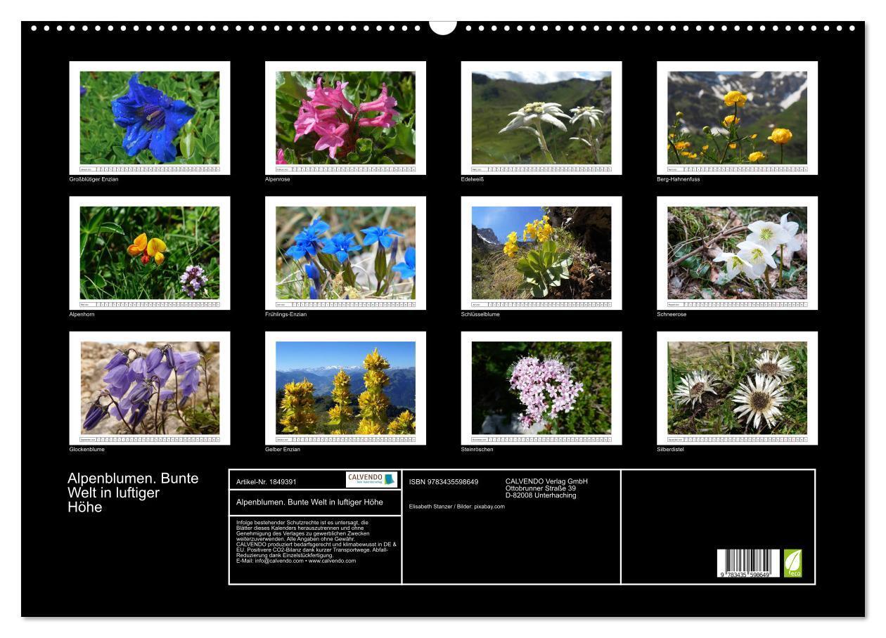 Bild: 9783435598649 | Alpenblumen. Bunte Welt in luftiger Höhe (Wandkalender 2025 DIN A2...