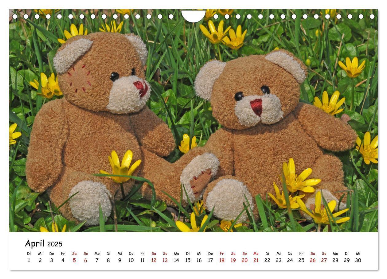 Bild: 9783383964954 | Allerliebste Teddybären (Wandkalender 2025 DIN A4 quer), CALVENDO...