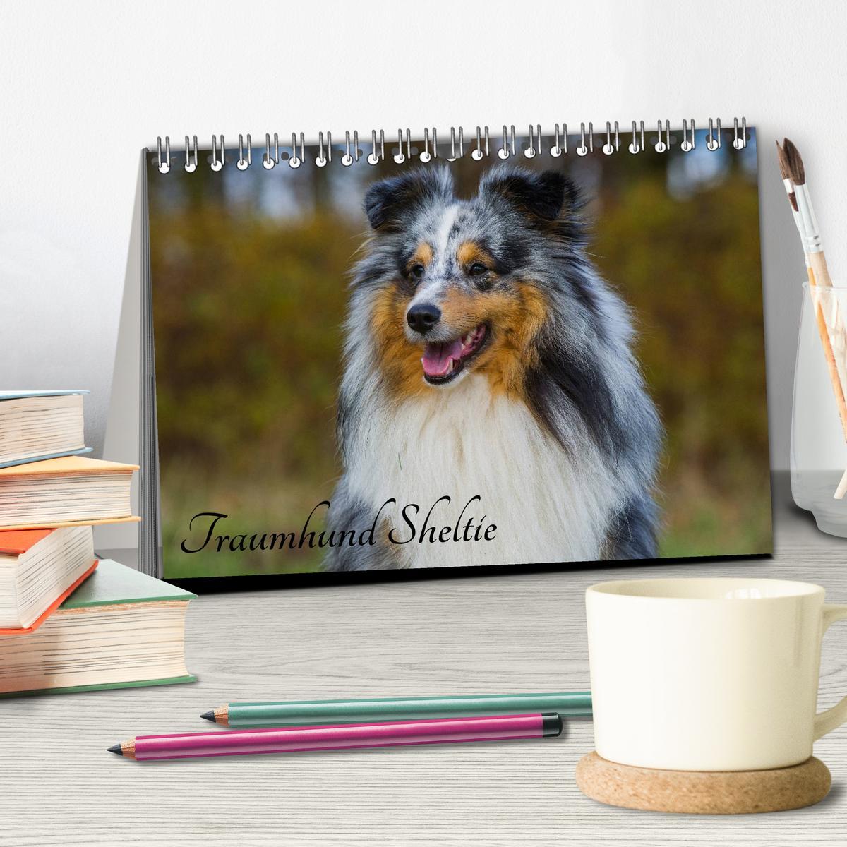 Bild: 9783435568758 | Traumhund Sheltie (Tischkalender 2025 DIN A5 quer), CALVENDO...