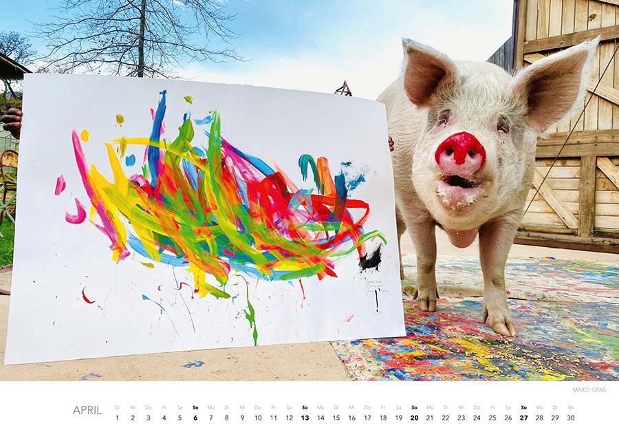 Bild: 9783966648325 | Pigcasso Kalender 2025 | Joanne Lefson | Kalender | Spiralbindung