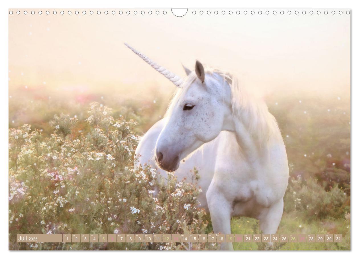 Bild: 9783383960000 | Einhorn Zauber - anmutige Einhornbilder (Wandkalender 2025 DIN A3...