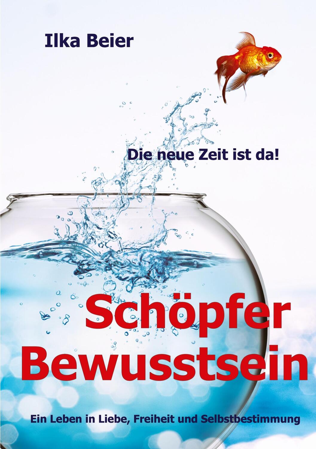 Cover: 9783347833500 | Schöpferbewusstsein - die neue Zeit ist da! | Ilka Beier | Taschenbuch