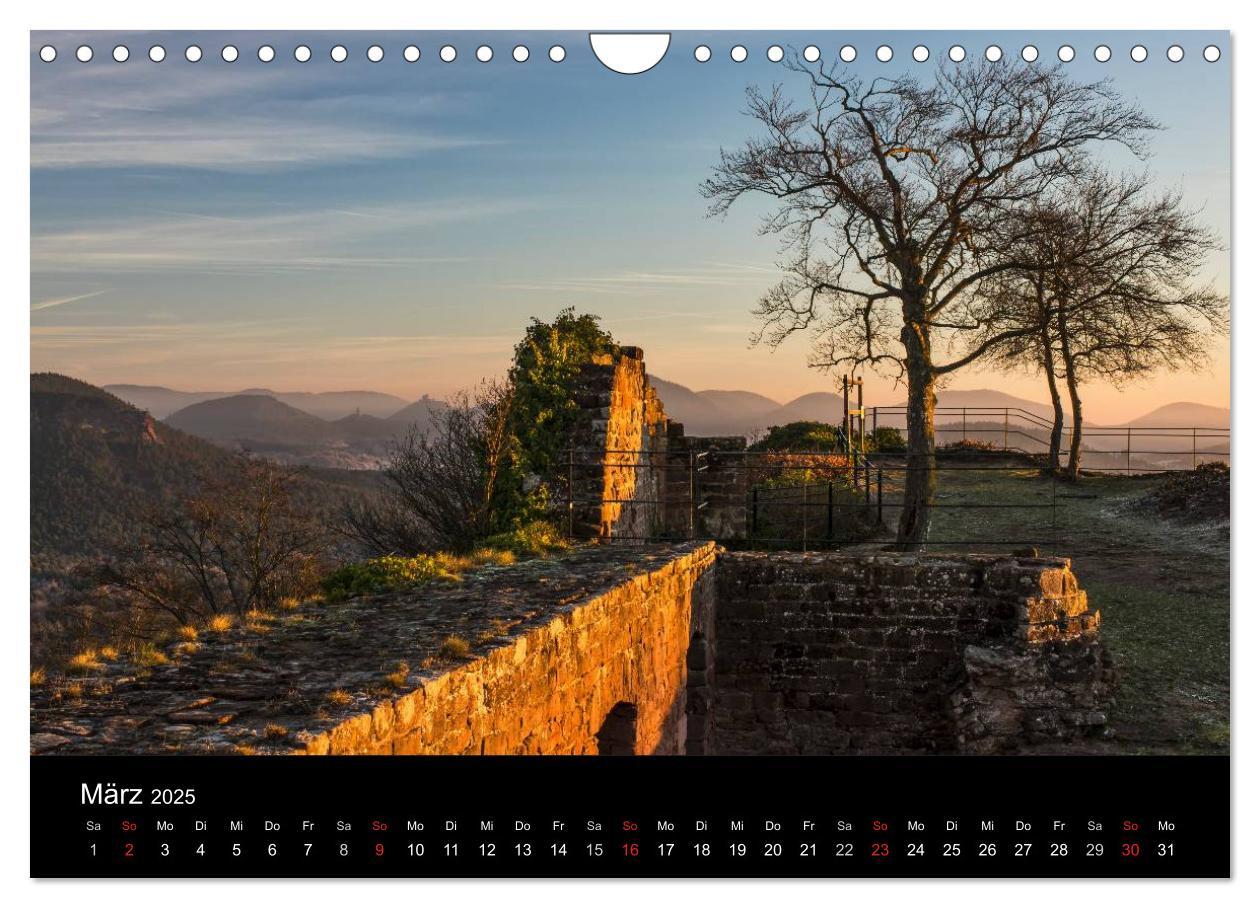 Bild: 9783435592883 | Mystischer Pfälzer Wald (Wandkalender 2025 DIN A4 quer), CALVENDO...