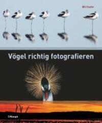 Cover: 9783258075471 | Vögel richtig fotografieren | Bill Coster | Buch | 160 S. | Deutsch