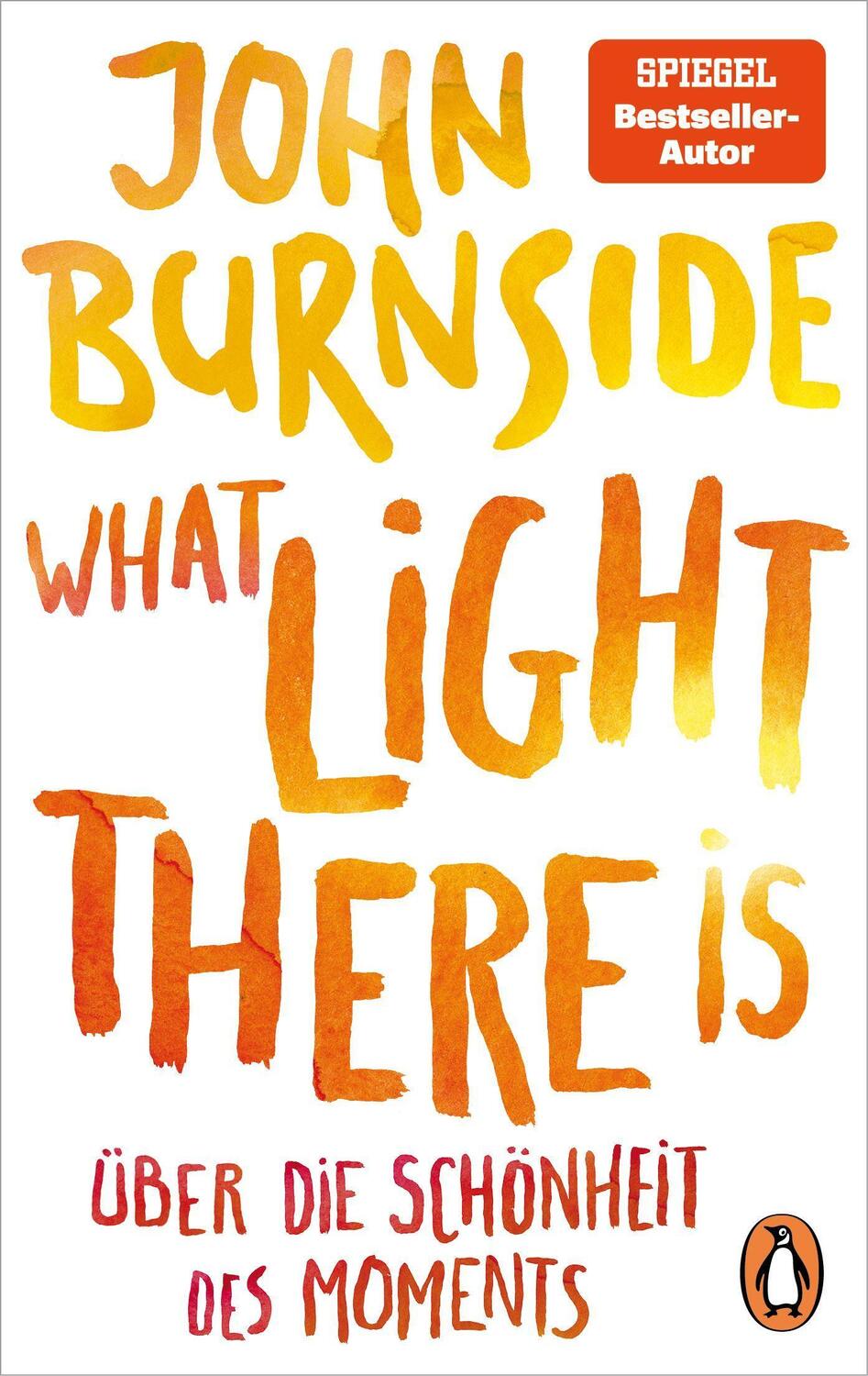 Cover: 9783328108337 | What light there is - Über die Schönheit des Moments | John Burnside