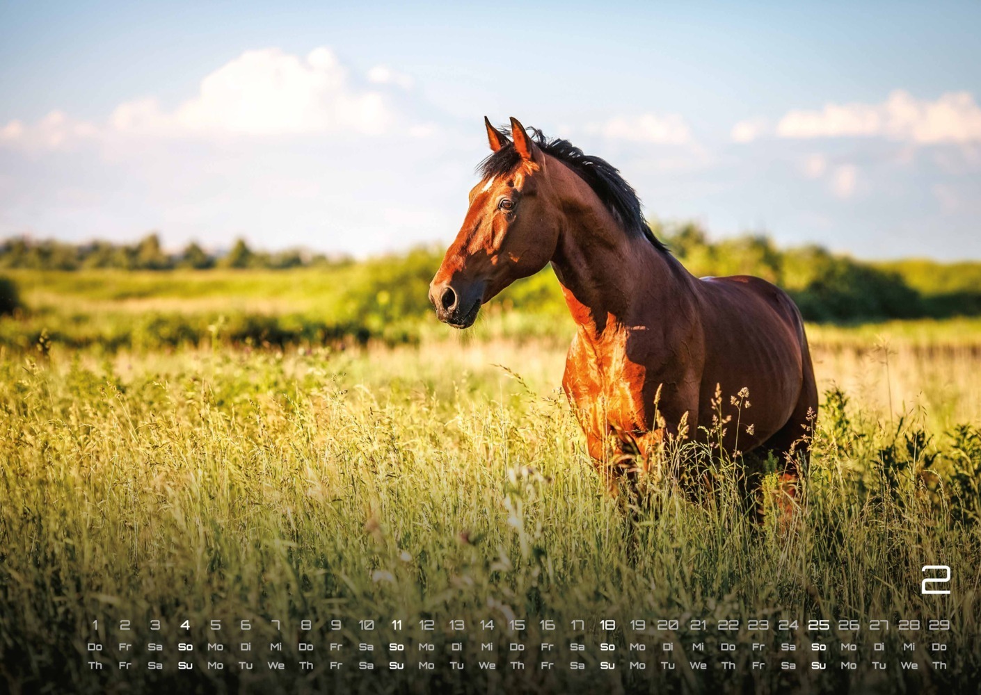 Bild: 9783986732677 | Pferdegeflüster - Der Pferdekalender - 2024 - Kalender DIN A2 | 2024