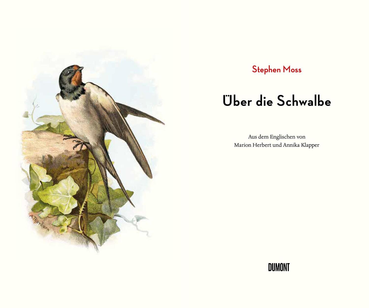 Bild: 9783832180058 | Über die Schwalbe | Stephen Moss | Buch | 224 S. | Deutsch | 2021