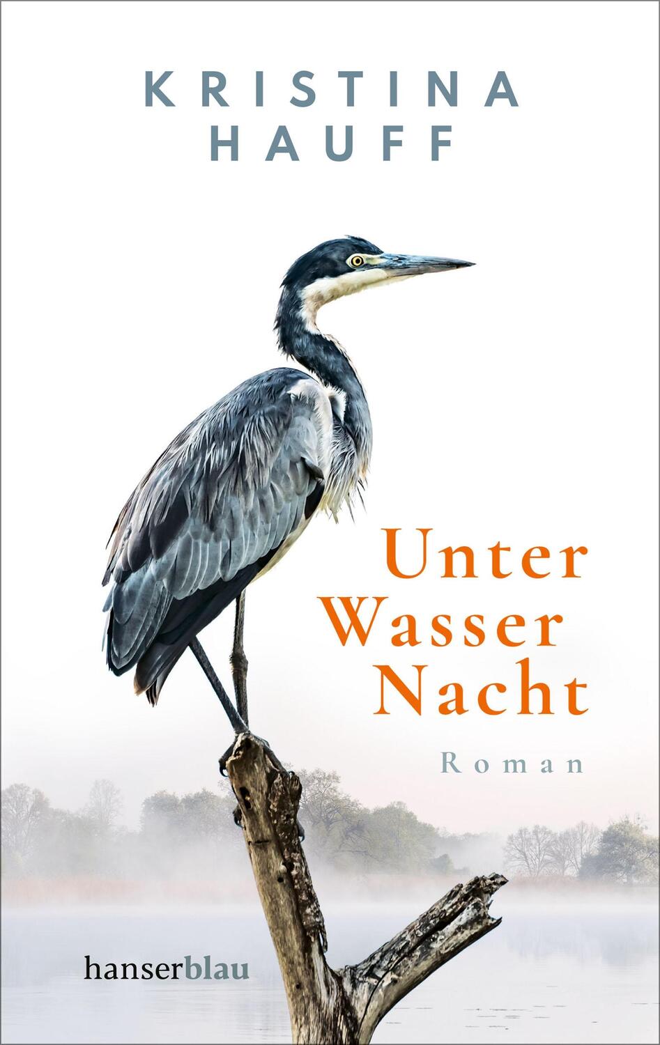 Cover: 9783446272880 | Unter Wasser Nacht | Kristina Hauff | Taschenbuch | 288 S. | Deutsch