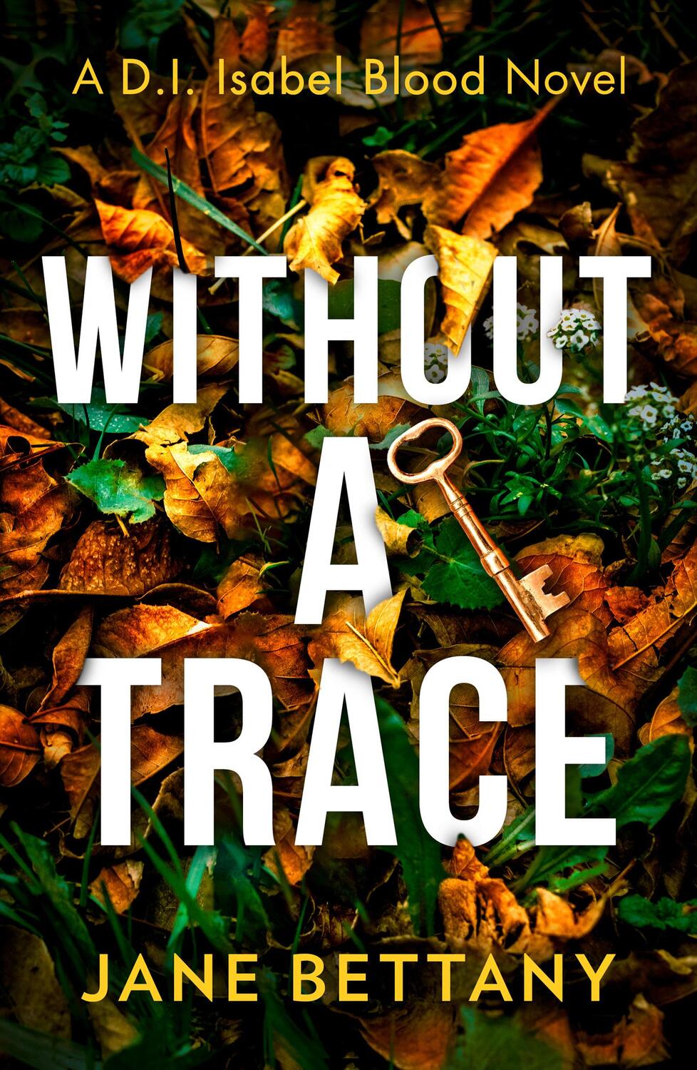 Cover: 9780008494827 | Without a Trace | Jane Bettany | Taschenbuch | Kartoniert / Broschiert