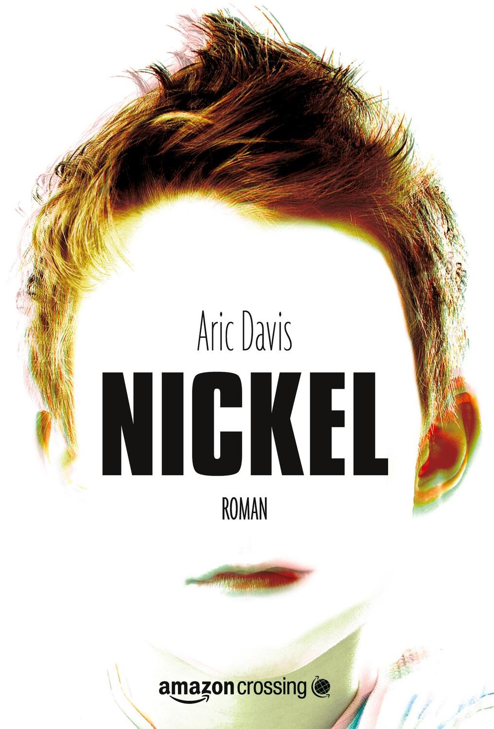 Cover: 9781611097368 | Nickel: Roman | Aric Davis | Taschenbuch | Paperback | 248 S. | 2012