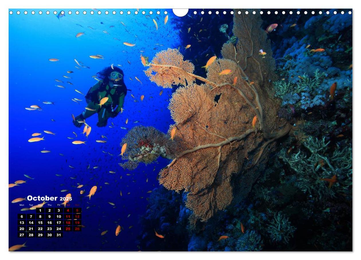 Bild: 9781325939084 | Magical Underwater World (Wall Calendar 2025 DIN A3 landscape),...