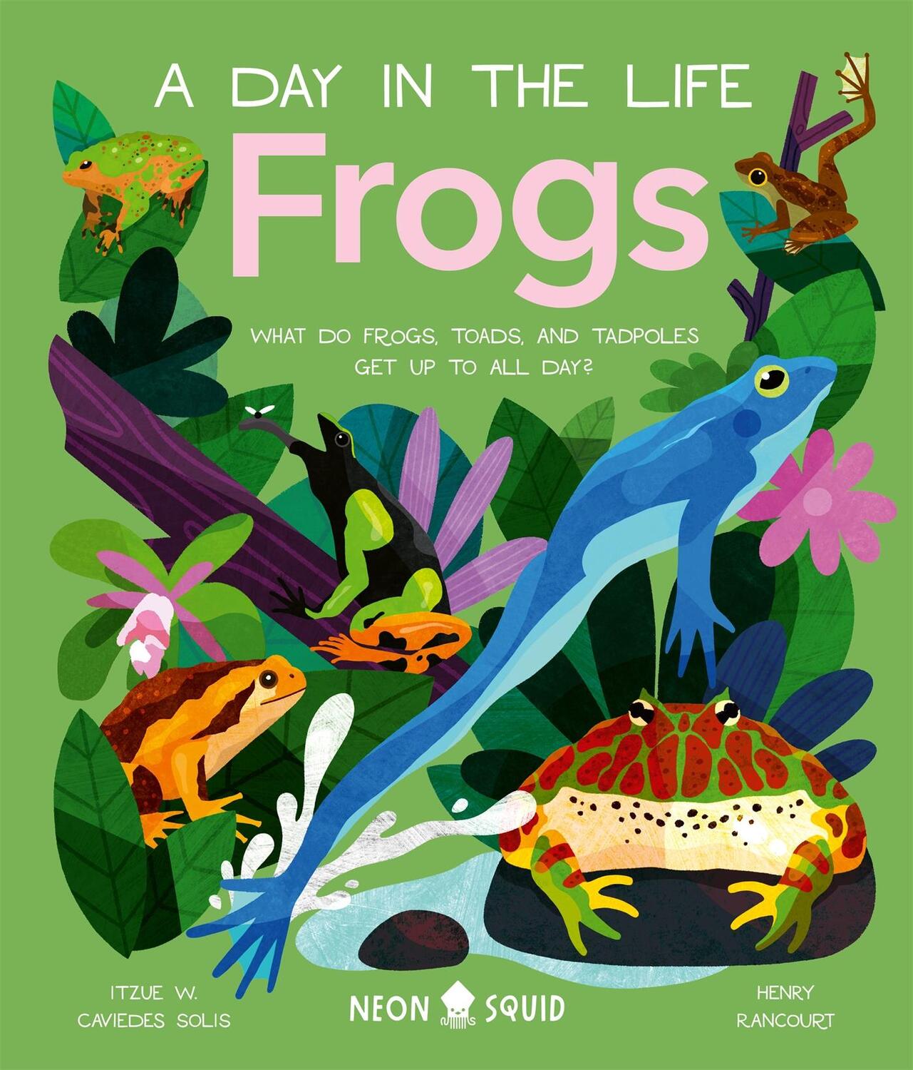 Cover: 9781838992880 | Frogs (A Day in the Life) | Itzue W. Caviedes-Solis (u. a.) | Buch