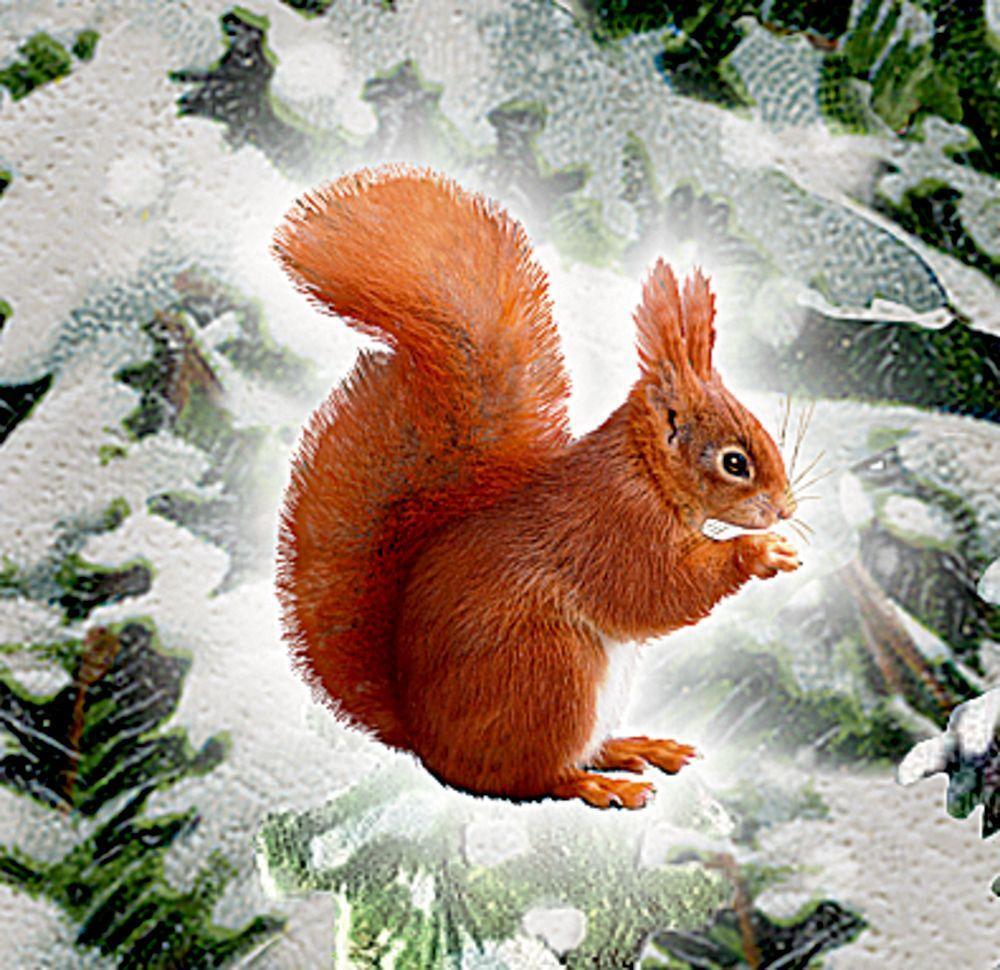 Bild: 4050003726199 | Wandkalender Weihnachtslaterne | Kalender | 2 S. | Deutsch