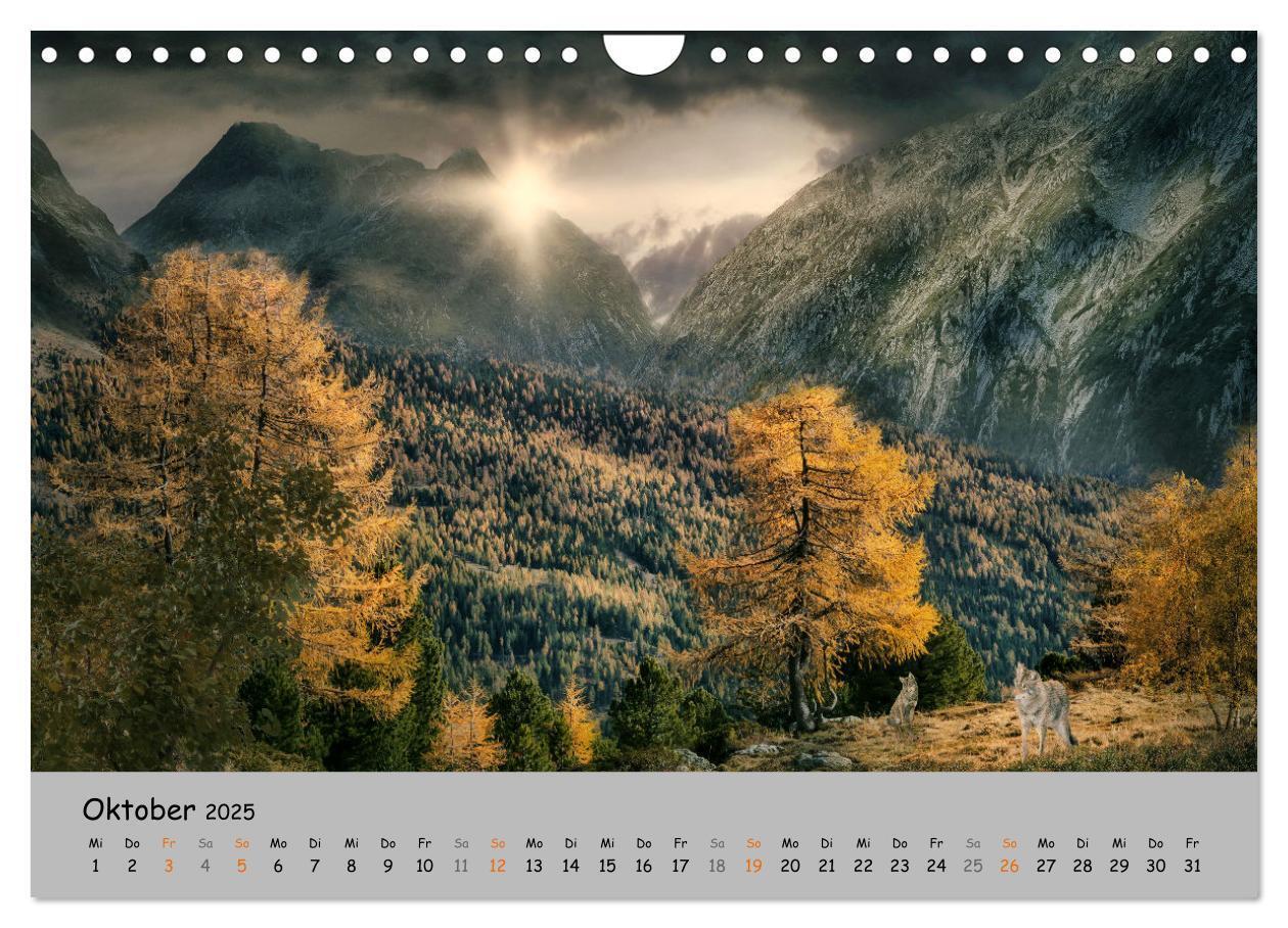 Bild: 9783435080076 | Der lange Weg der Wölfe (Wandkalender 2025 DIN A4 quer), CALVENDO...