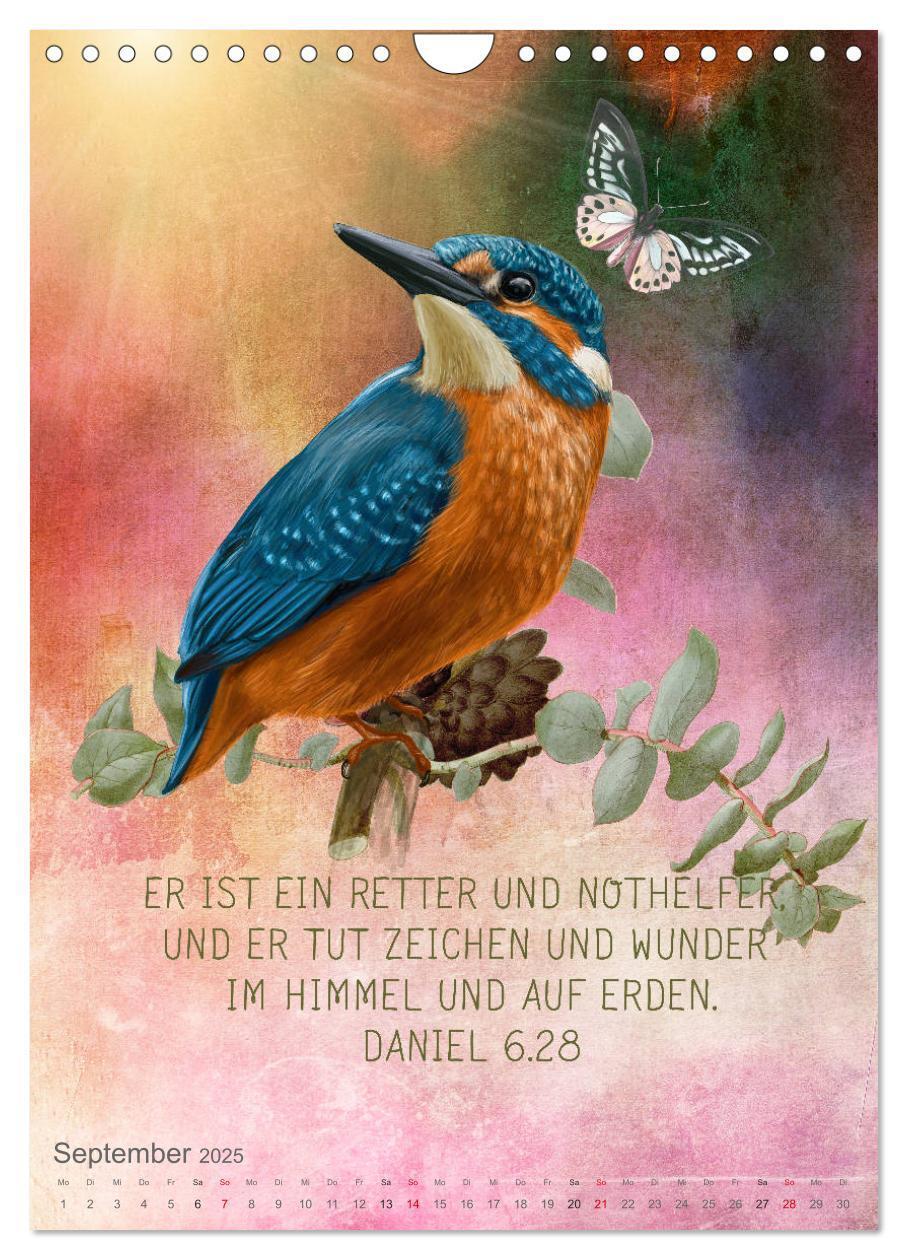 Bild: 9783435962655 | Bibelworte für Vogelfreunde (Wandkalender 2025 DIN A4 hoch),...