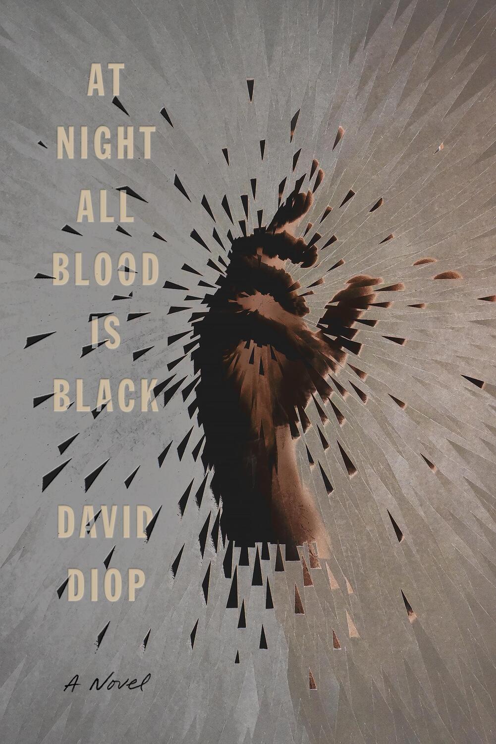 Cover: 9780374266974 | At Night All Blood Is Black | A Novel | David Diop | Buch | Gebunden