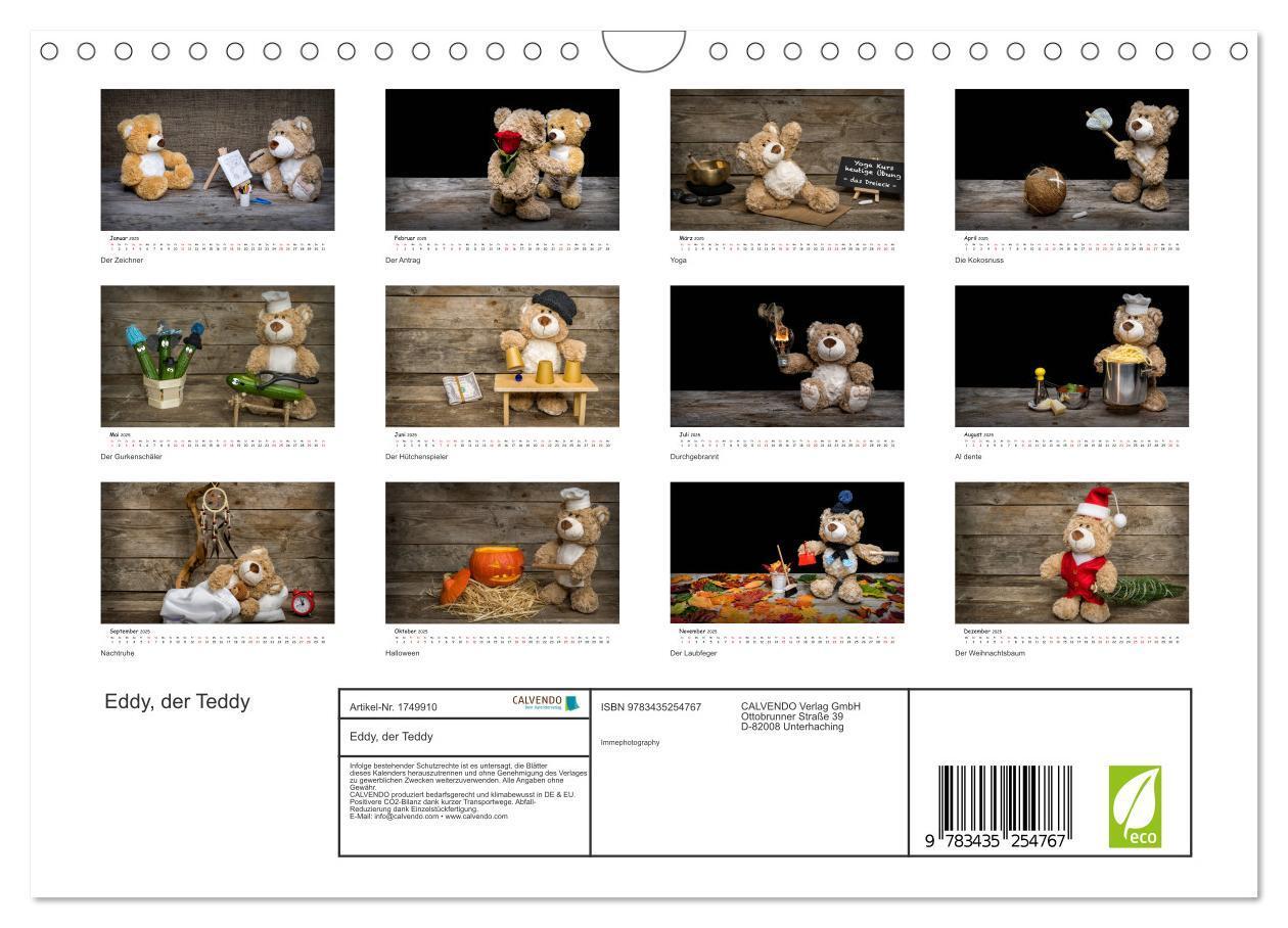 Bild: 9783435254767 | Eddy, der Teddy (Wandkalender 2025 DIN A4 quer), CALVENDO...