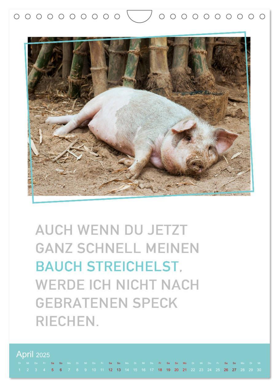 Bild: 9783435940011 | Tierisch bekloppt! (Wandkalender 2025 DIN A4 hoch), CALVENDO...