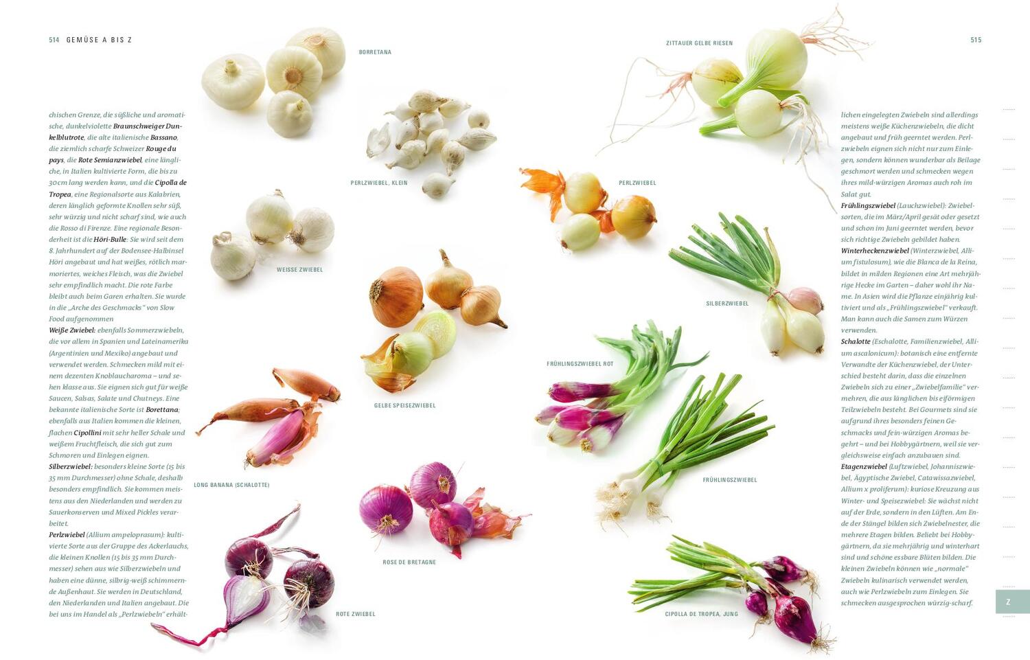 Bild: 9783747104729 | Aroma Gemüse | Der Weg zum perfekten Geschmack | Thomas Vilgis (u. a.)