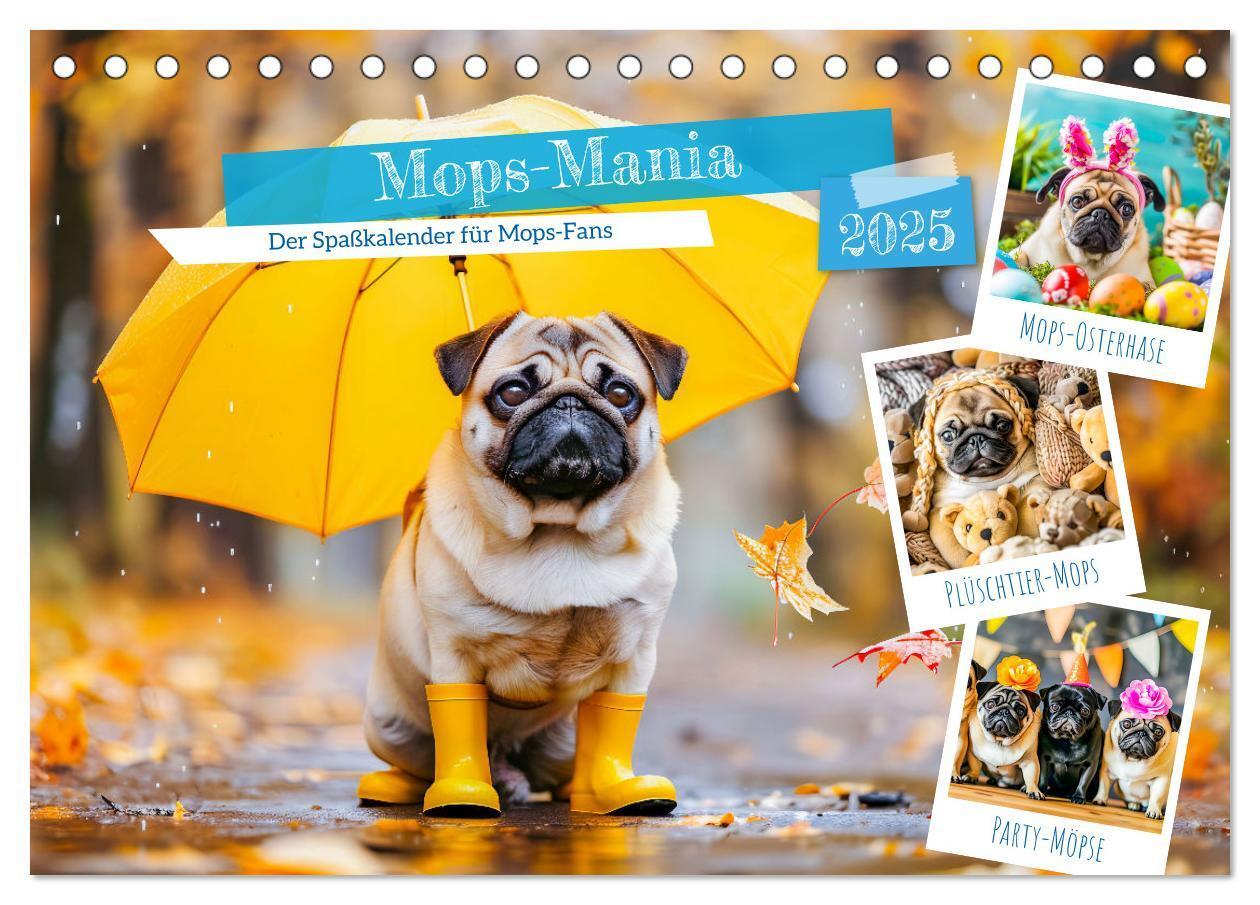 Cover: 9783457171394 | Mops-Mania - Der Spaßkalender für Mops-Fans (Tischkalender 2025 DIN...