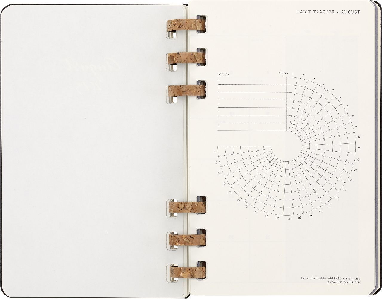 Bild: 8056598858075 | Moleskine 12 Monats Studienplaner mit Spiralbindung 2023/2024,...