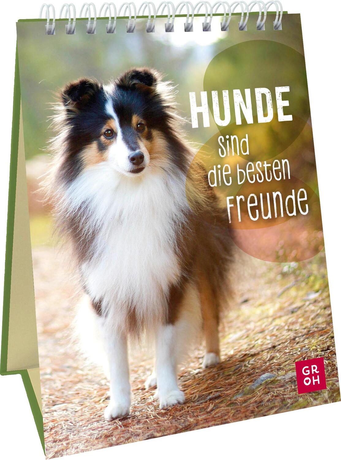Cover: 9783848502349 | Hunde sind die besten Freunde | Groh Verlag | Taschenbuch | 48 S.