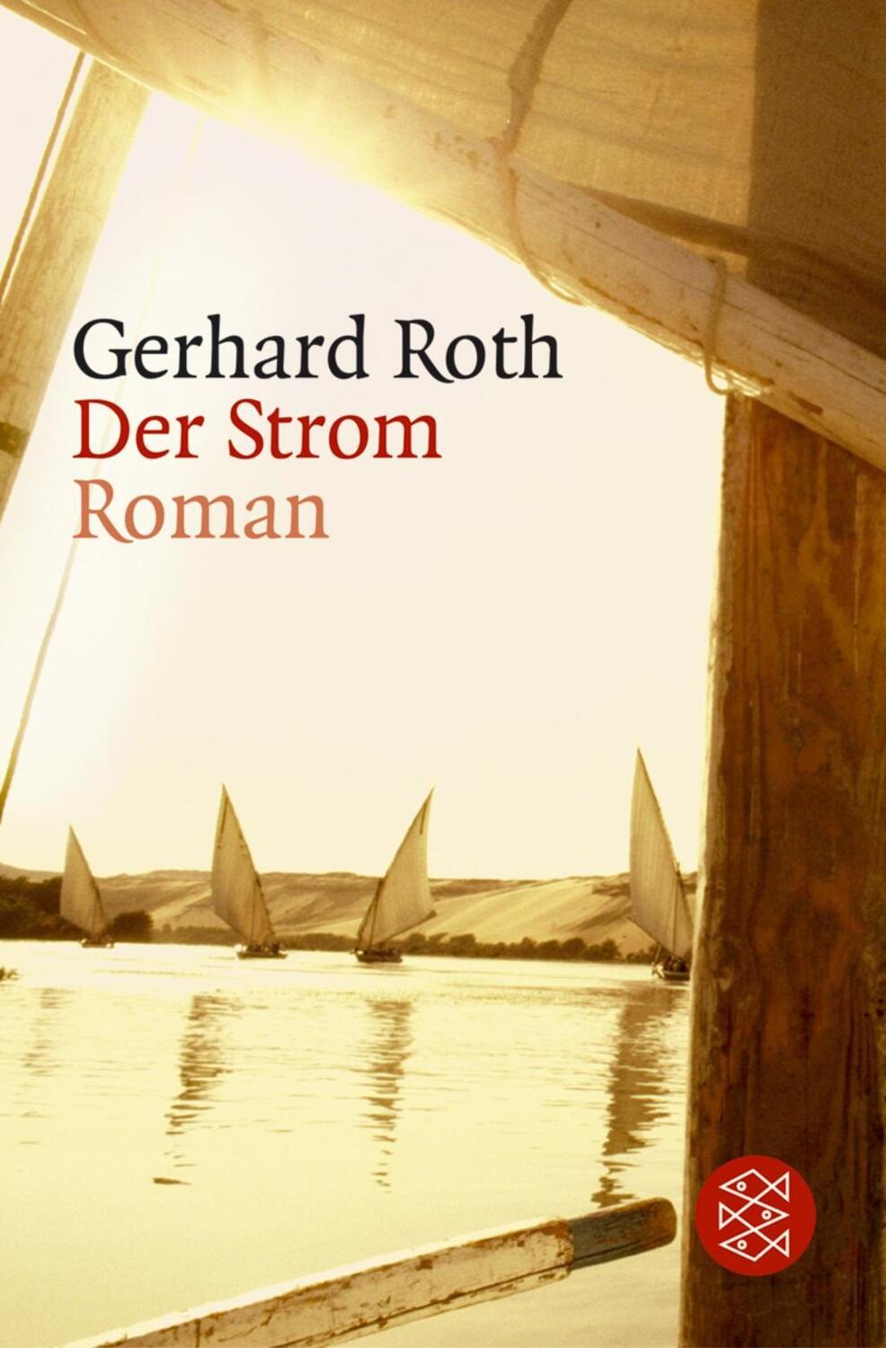Cover: 9783596162130 | Der Strom | Roman | Gerhard Roth | Taschenbuch | 352 S. | Deutsch