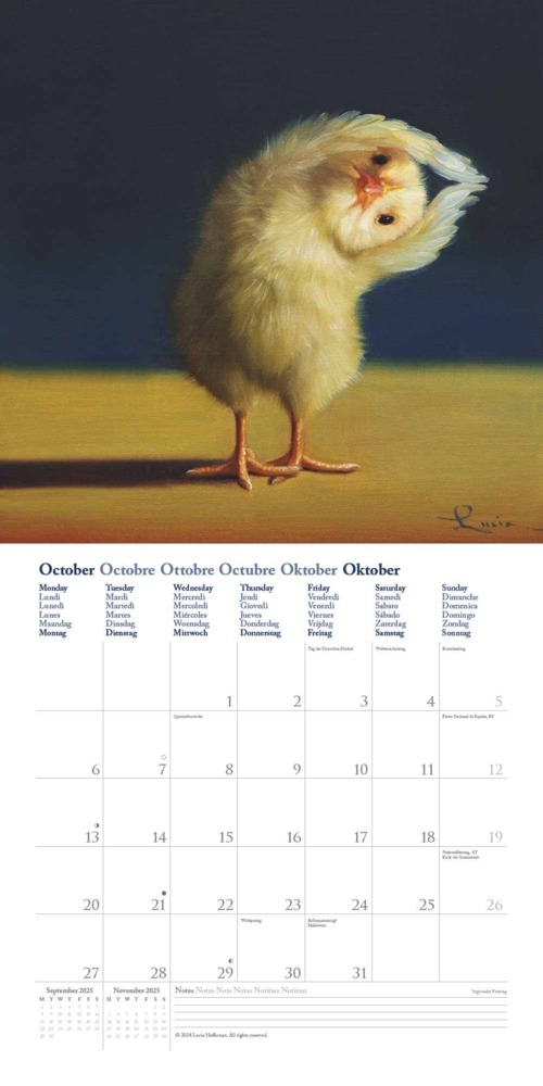 Bild: 4250809653914 | DUMONT - Yoga Chicks: Lucia Heffernan 2025 Broschürenkalender,...