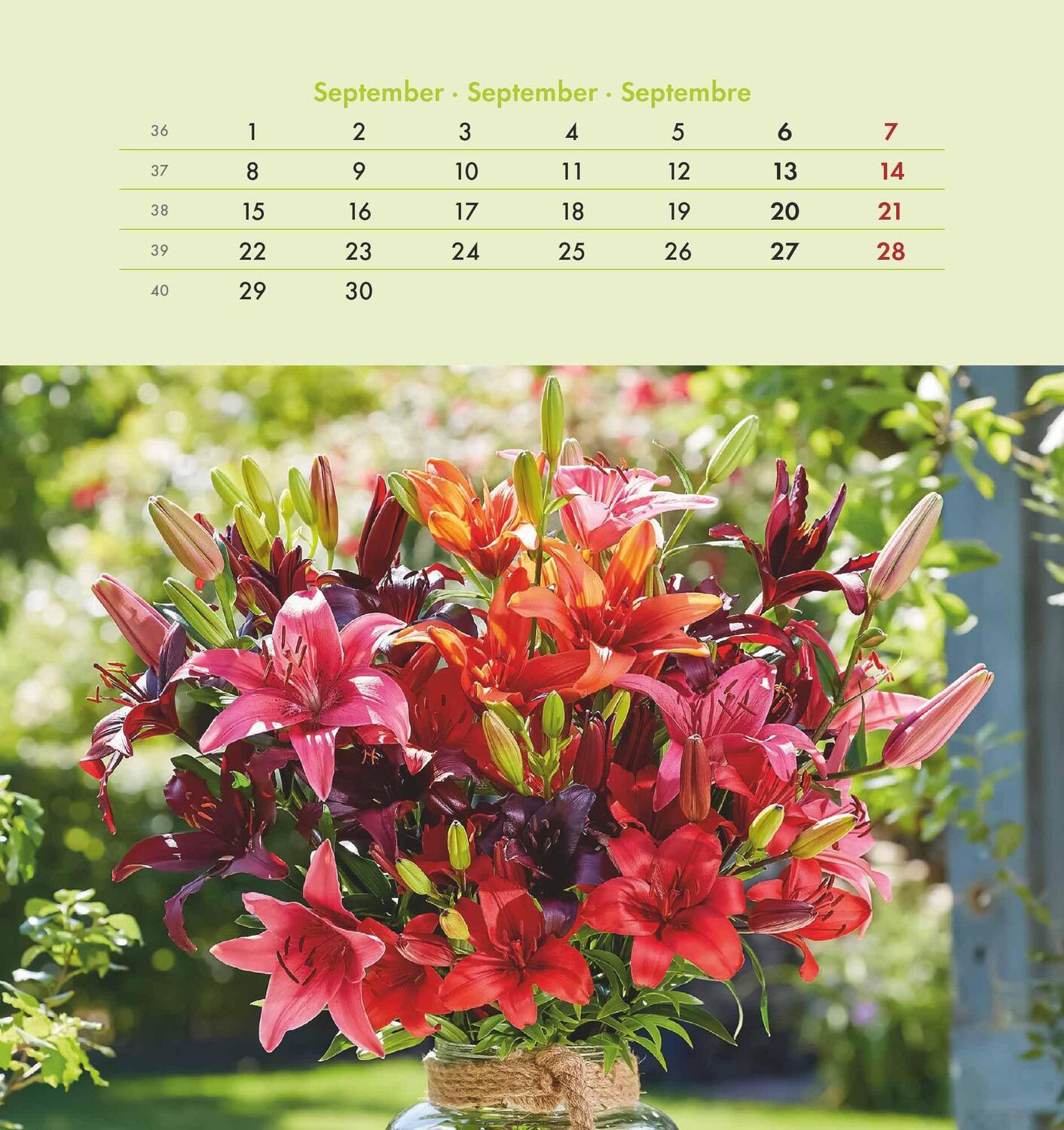 Bild: 4251732342289 | Blumengrüße 2025 - Postkartenkalender 16x17 cm - Blumen - zum...