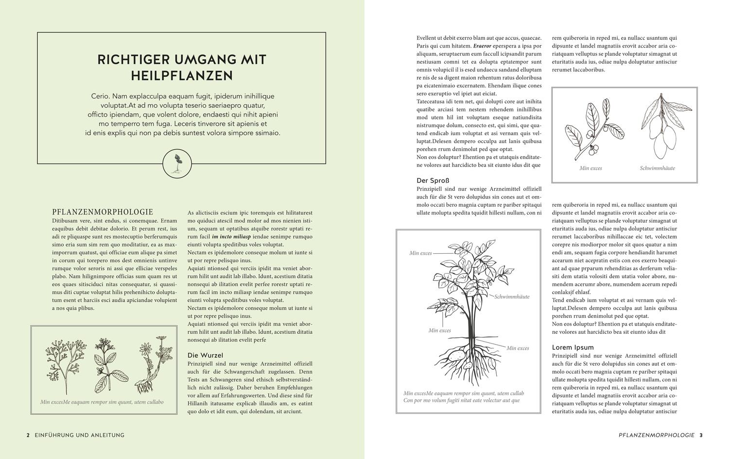Bild: 9783833879265 | Das große Buch der Heilpflanzen | Mannfried Pahlow | Buch | 504 S.