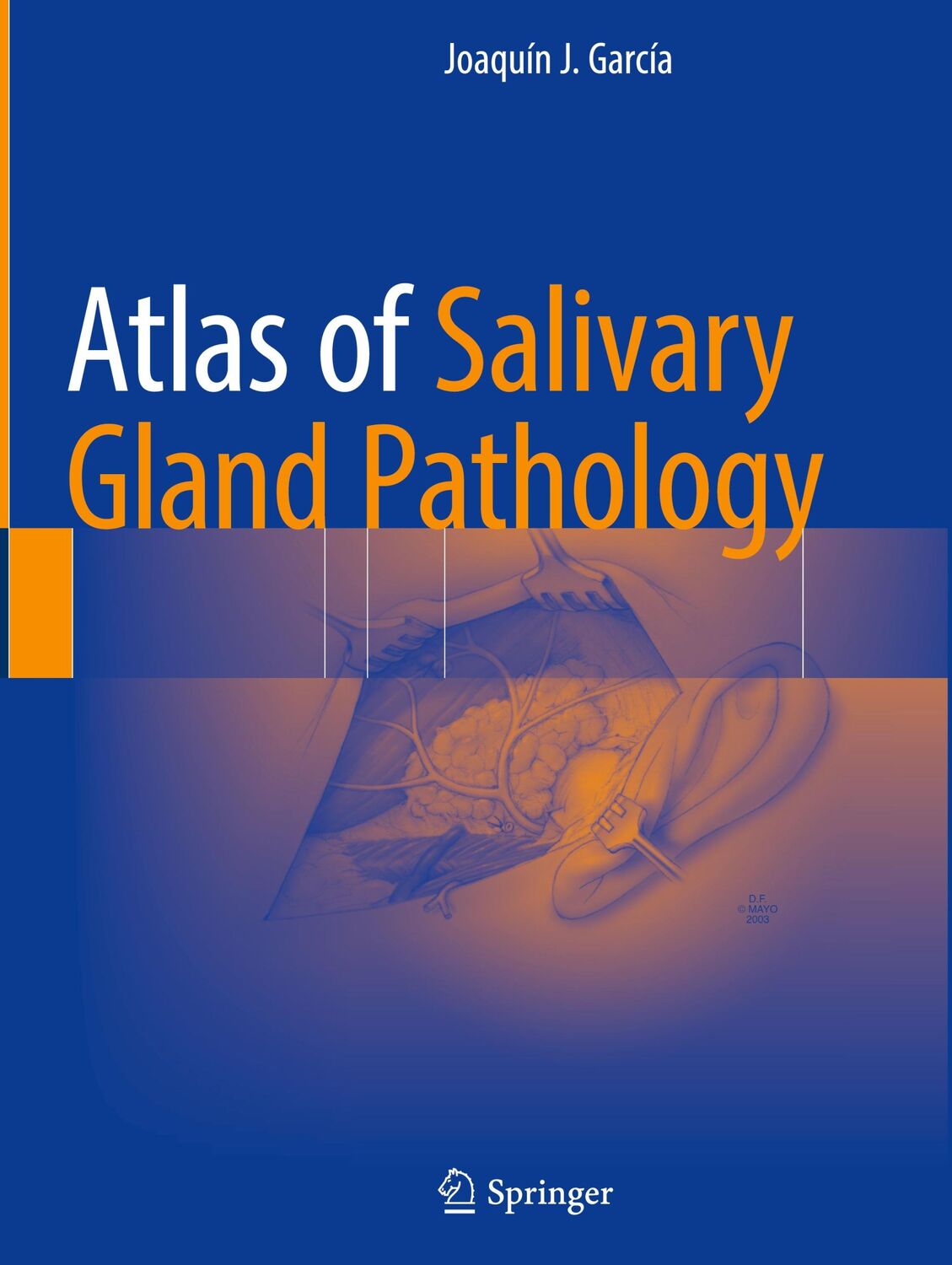 Cover: 9783319090207 | Atlas of Salivary Gland Pathology | Joaquín J. García | Buch | xi