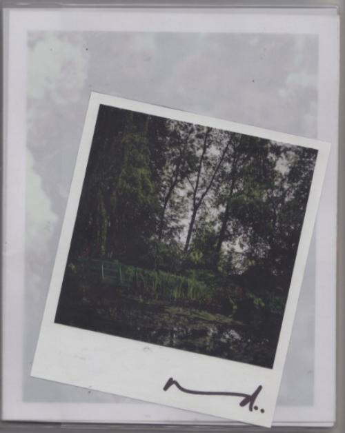 Cover: 9783864420443 | Darren Almond: The Giverny Polaroids | Darren Almond | Englisch | 2014