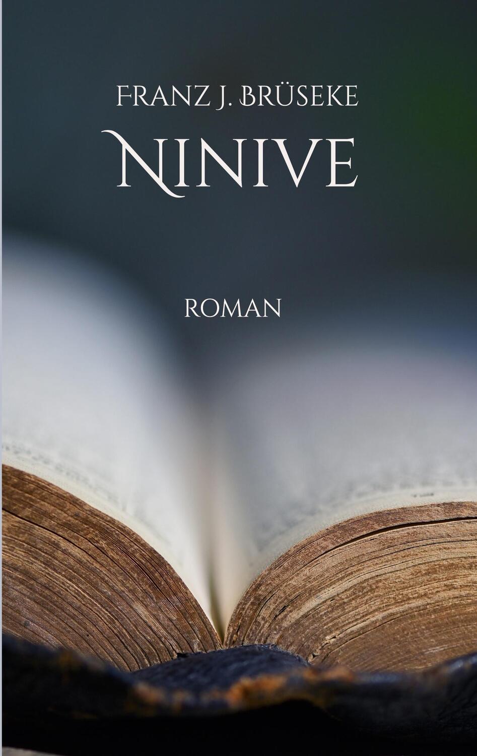 Cover: 9783752878943 | Ninive | oder das Wichtigste | Fj Brüseke | Taschenbuch | Paperback