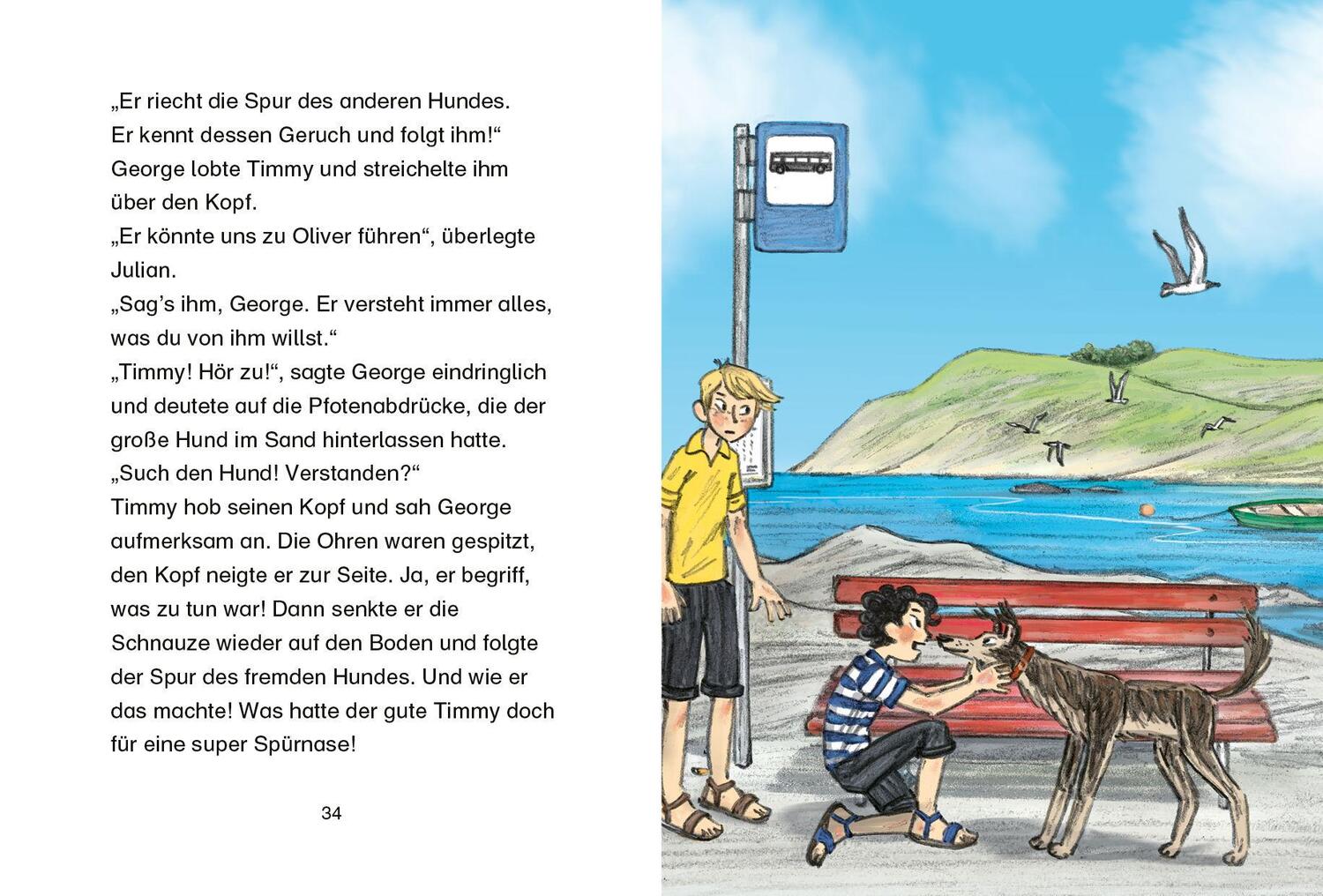 Bild: 9783570179567 | Fünf Freunde JUNIOR - Timmy, der Meisterdetektiv | Enid Blyton | Buch