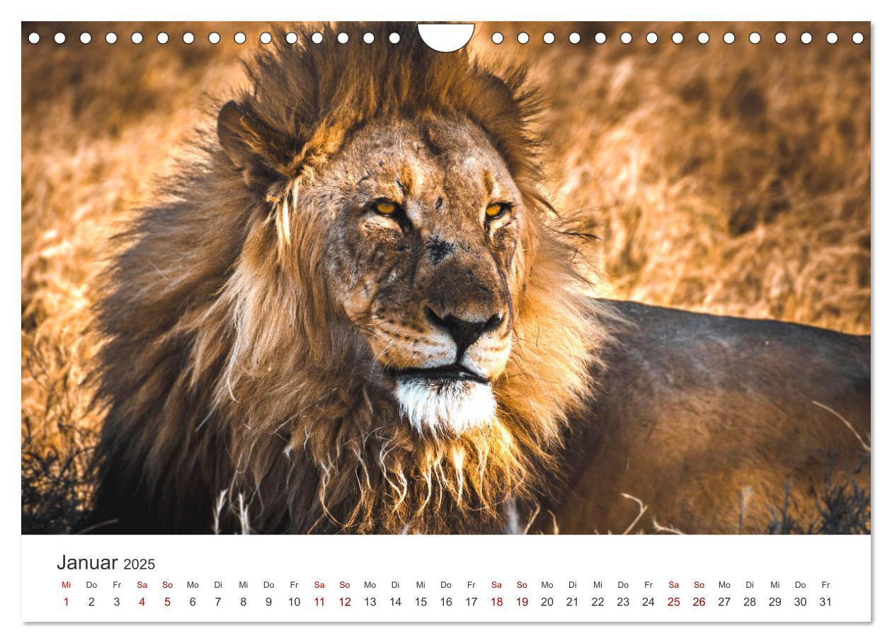 Bild: 9783383977220 | Namibia - Ein Paradies auf Erden. (Wandkalender 2025 DIN A4 quer),...