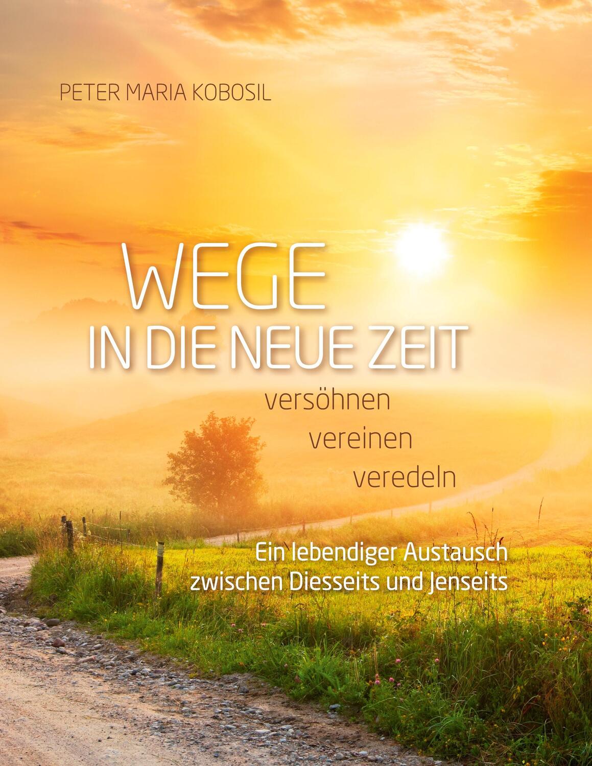 Cover: 9783754399682 | Wege in die neue Zeit | Peter Maria Kobosil | Buch | 388 S. | Deutsch