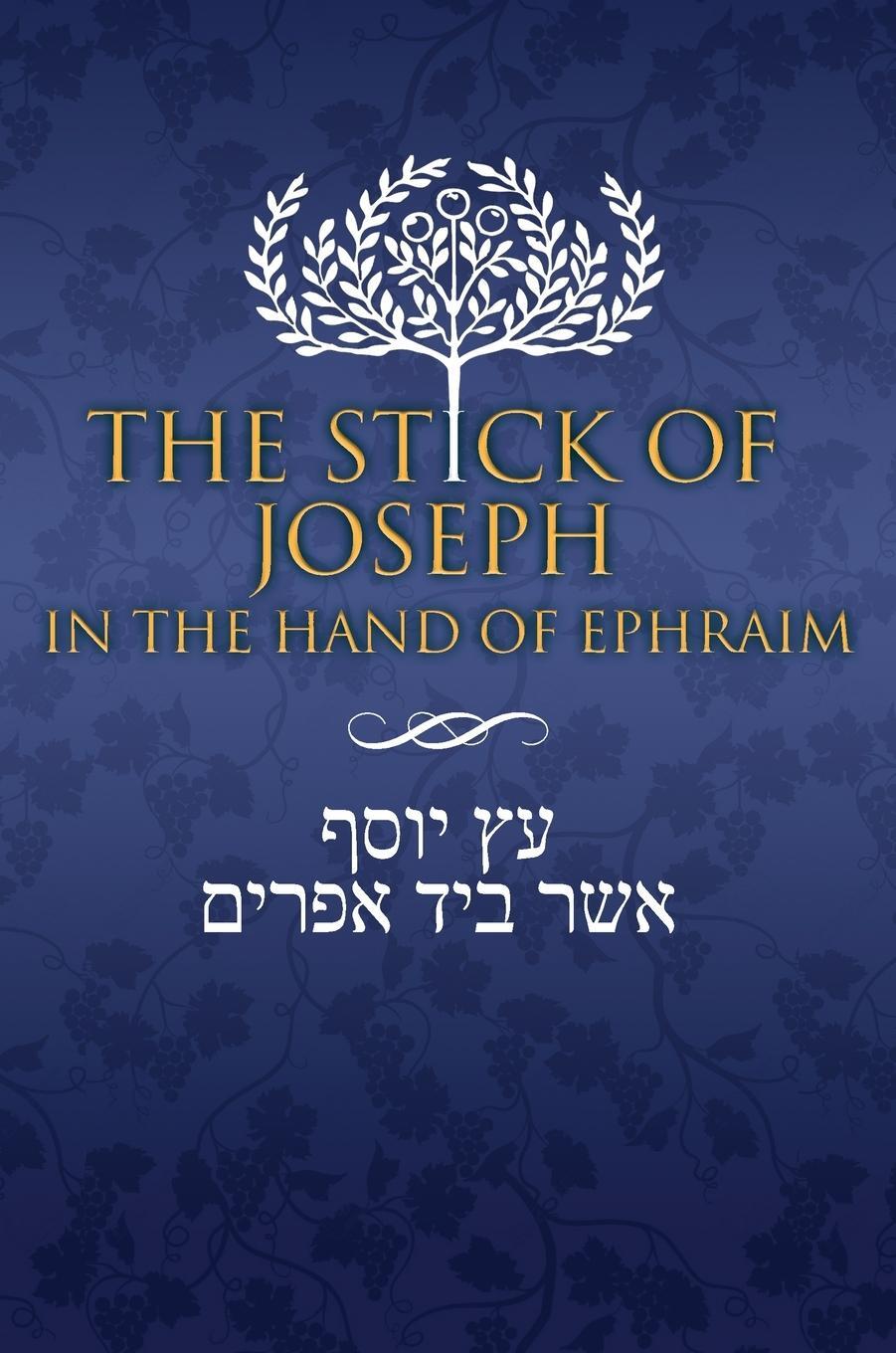 Cover: 9781951168612 | The Stick of Joseph in the Hand of Ephraim | Buch | Englisch | 2019