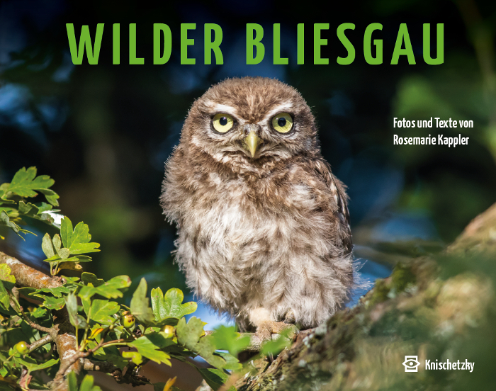 Cover: 9783962270155 | Wilder Bliesgau | Rosemarie Kappler | Buch | Festeinband | 95 S.