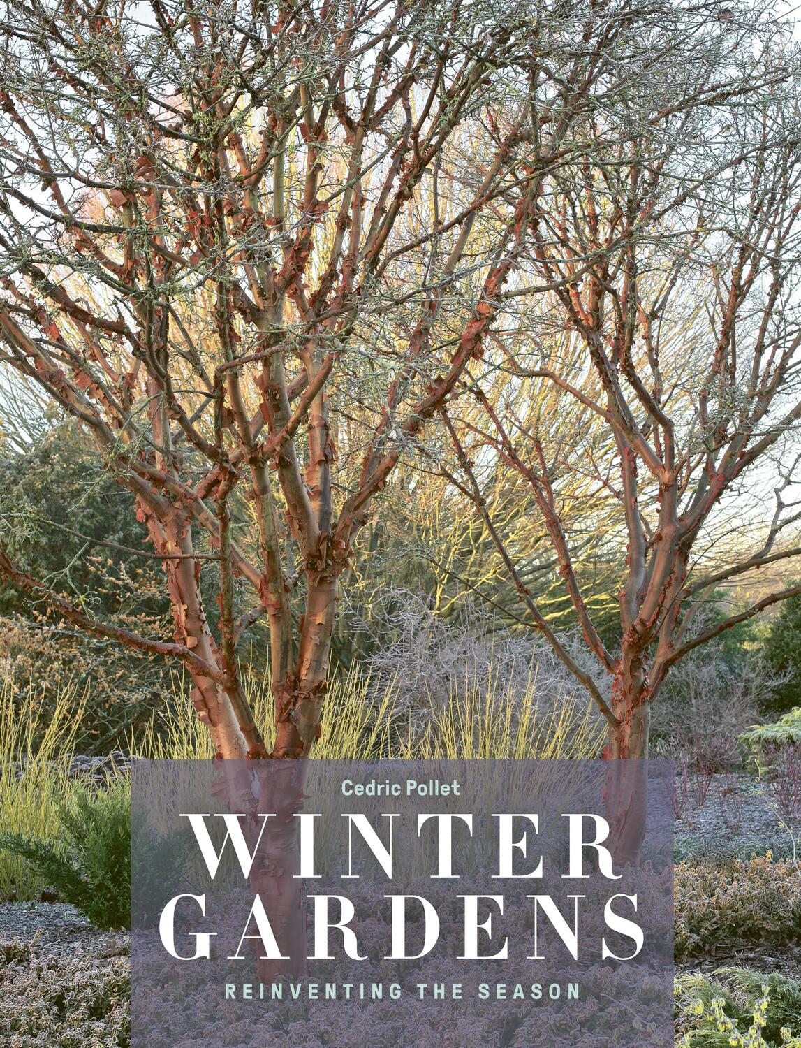 Cover: 9780711255982 | Winter Gardens | Reinventing the Season | Cedric Pollet | Buch | 2021