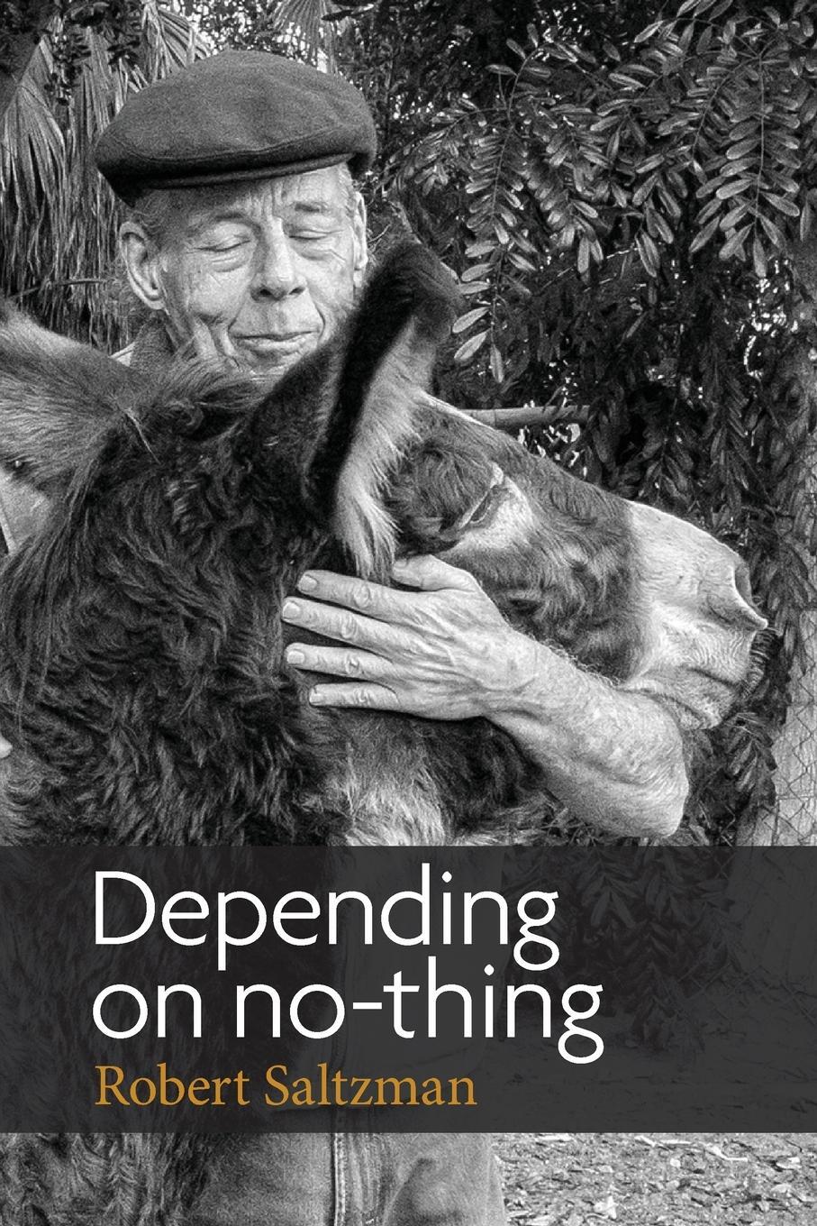 Cover: 9781999353599 | Depending on No-Thing | Robert Saltzman | Taschenbuch | Paperback