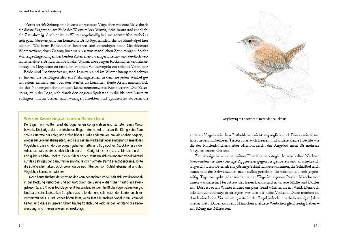 Bild: 9783895664168 | Vogelstimmen in Wald und Hecke | Uwe Westphal | Buch | 184 S. | 2022