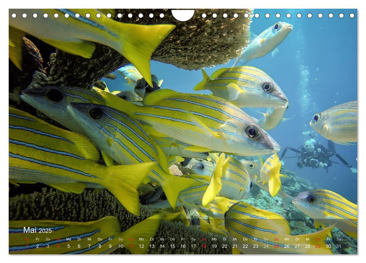 Bild: 9783435620067 | Malediven Impressionen aus dem Paradies (Wandkalender 2025 DIN A4...