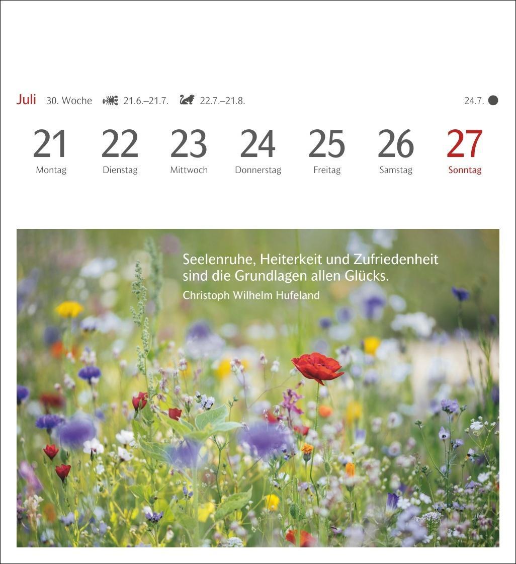 Bild: 9783840033834 | Momente des Glücks Postkartenkalender 2025 - Wochenkalender mit...