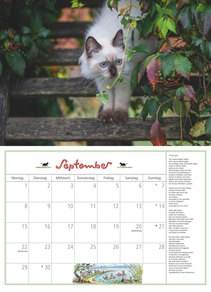 Bild: 4250809652412 | DUMONT - DUMONTS Katzenkalender 2025 Broschürenkalender, 42x29cm,...