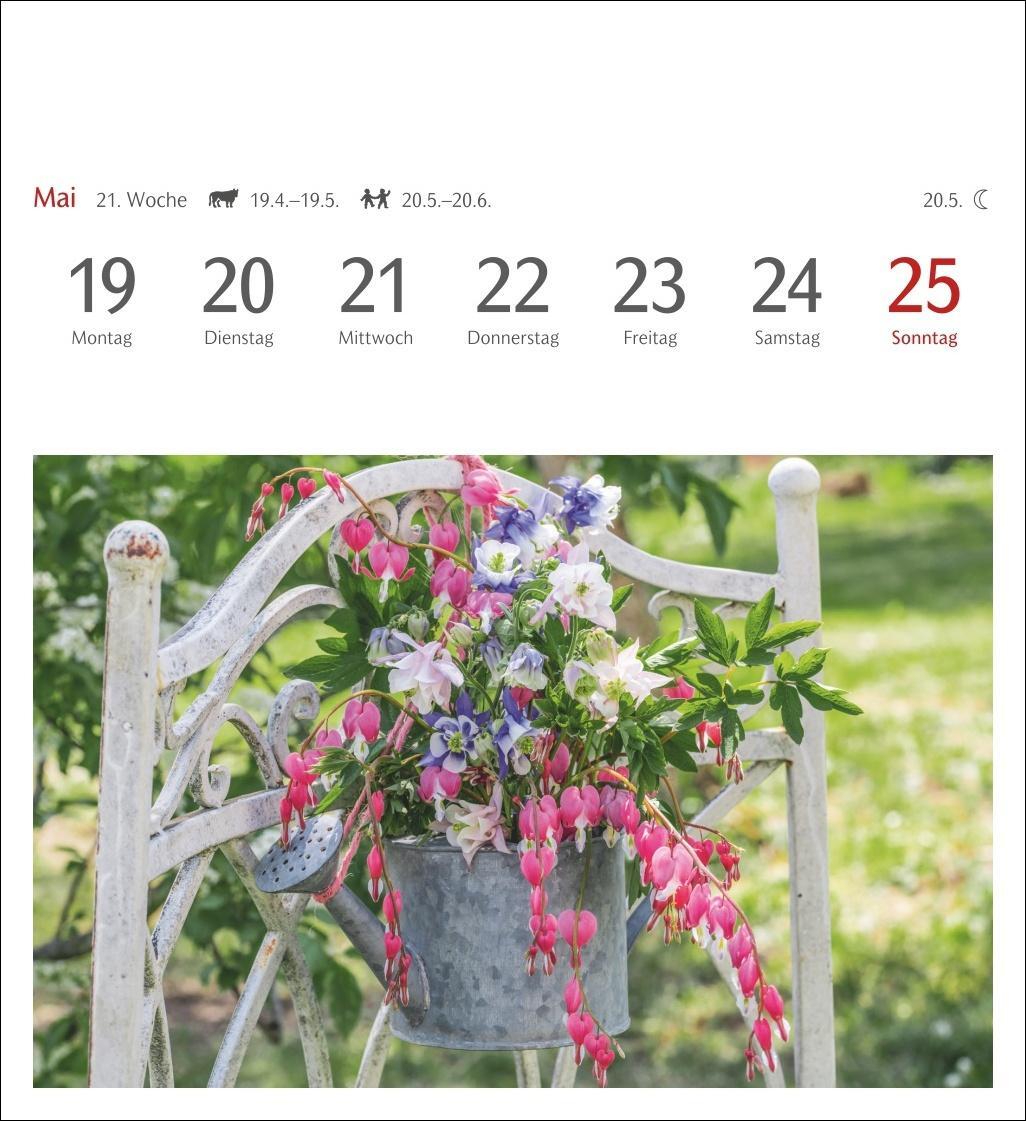 Bild: 9783840034541 | Blumenpracht Postkartenkalender 2025 - Wochenkalender mit 53...
