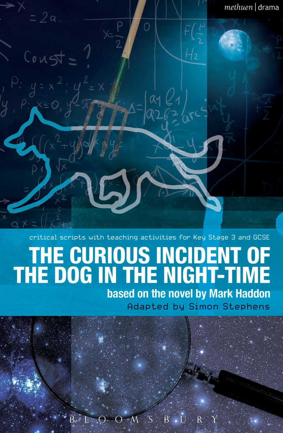 Cover: 9781408185216 | The Curious Incident of the Dog in the Night-Time | The Play | Buch