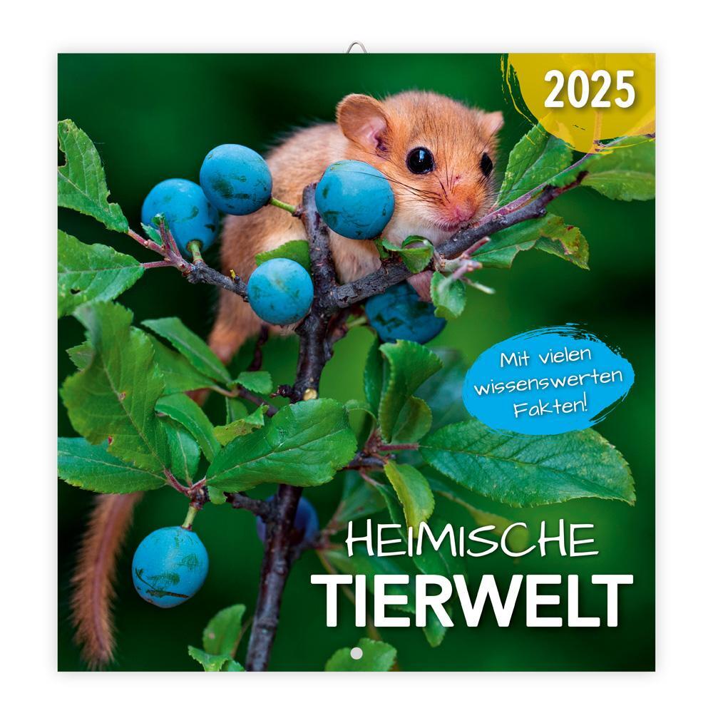 Cover: 9783988021915 | Trötsch Broschürenkalender Heimische Tierwelt 2025 | Wandplaner | KG
