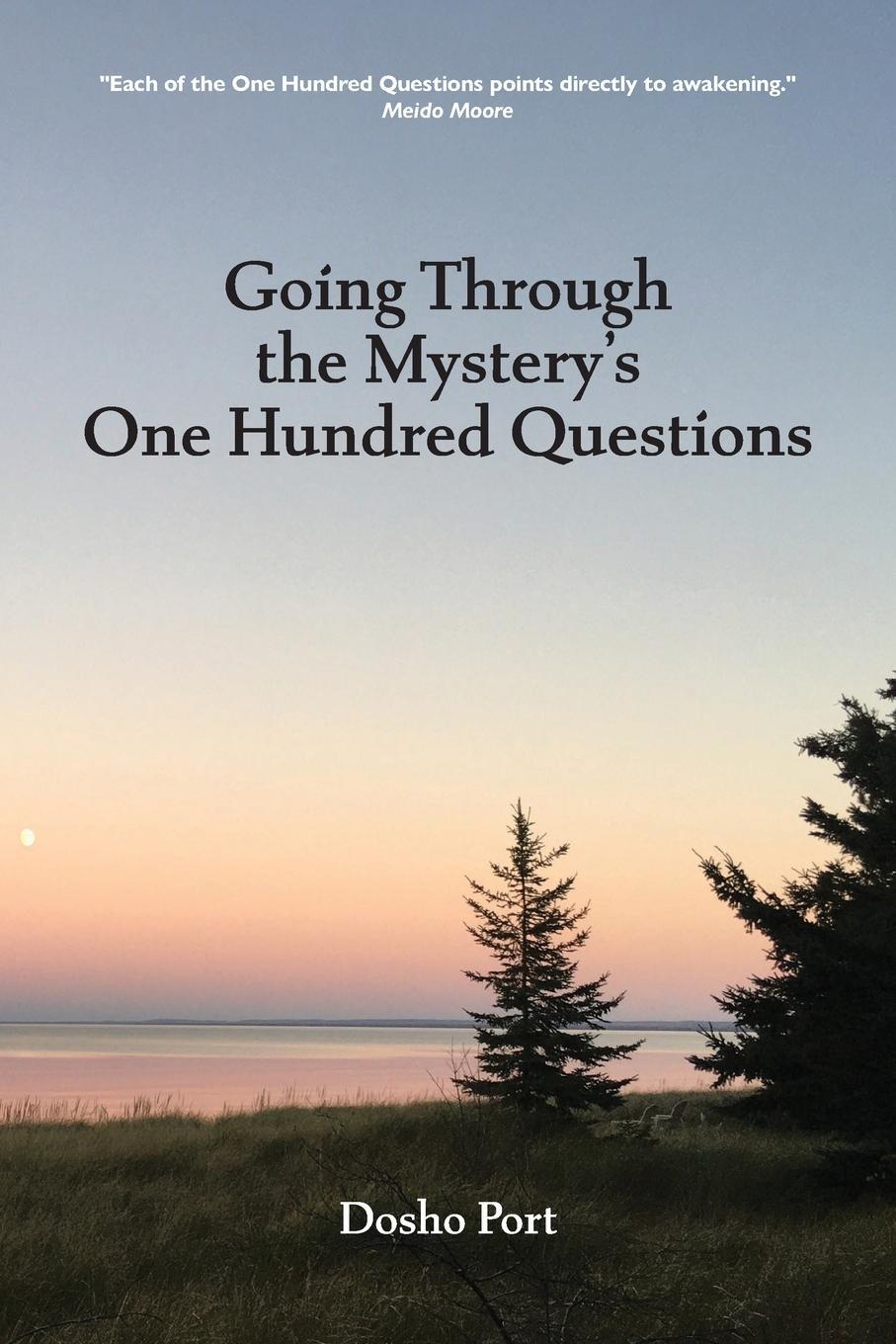 Cover: 9781896559889 | Going Through the Mystery's One Hundred Questions | Dosho Port | Buch