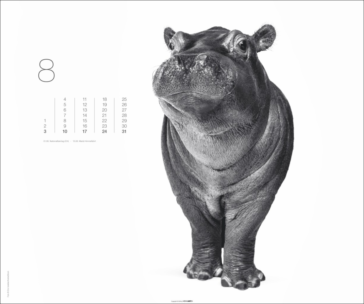 Bild: 9783839901328 | Black &amp; White Animals 2025 | Kalender | Spiralbindung | 14 S. | 2025