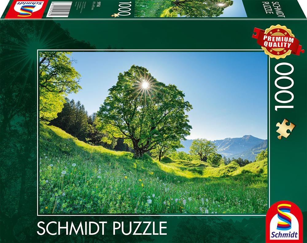 Cover: 4001504597610 | Berg-Ahorn im Sonnenlicht, St. Gallen, Schweiz | Spiel | 59761 | 2023